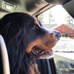 Meet your Posher, Meryl